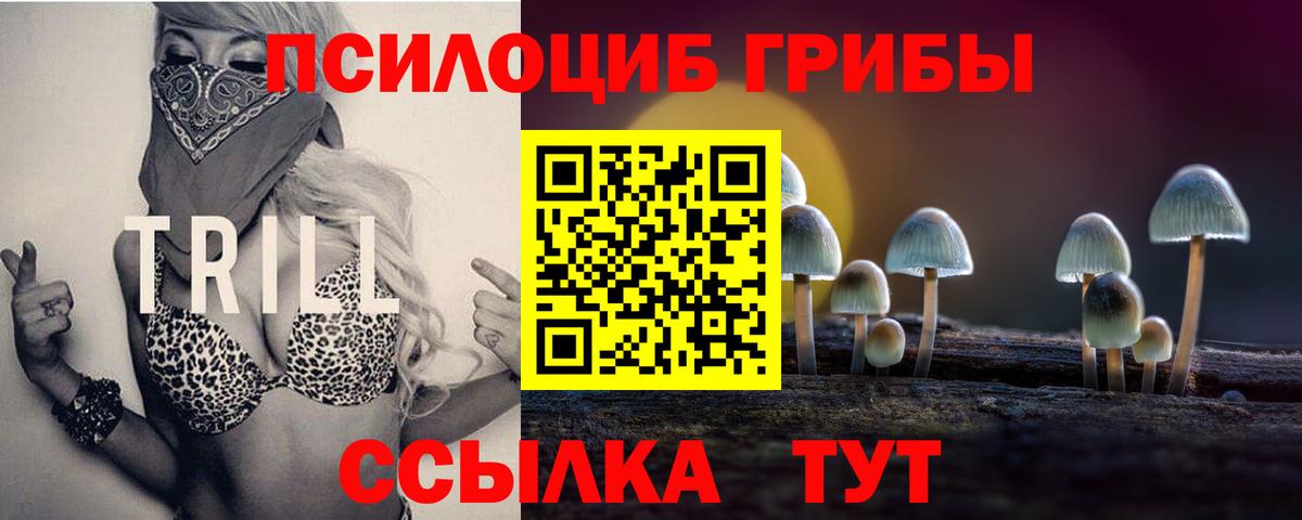 купить наркотик  Вход с VPN  Сибай  Галлюциногенные грибы мицелий 
