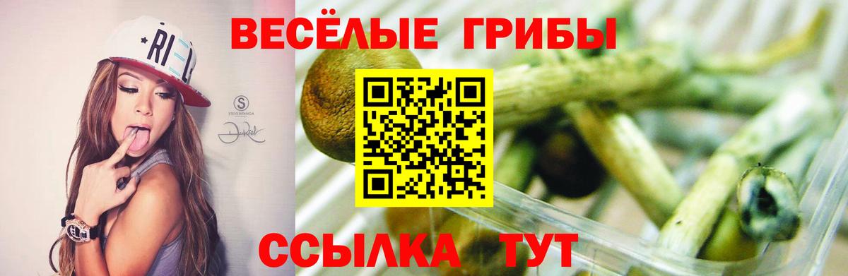 Галлюциногенные грибы ЛСД Сибай